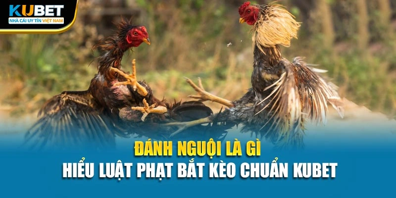 Đánh Nguội Là Gì - Hiểu Luật Phạt Bắt Kèo Chuẩn Kubet