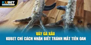 Vảy Gà Xấu - Kubet Chỉ Cách Nhận Biết Tránh Mất Tiền Oan
